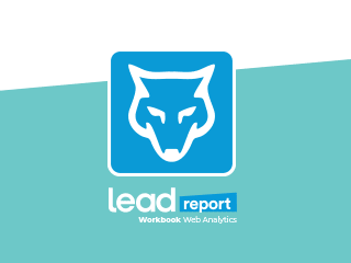 LEAD Report "Workbook Web Analytics"