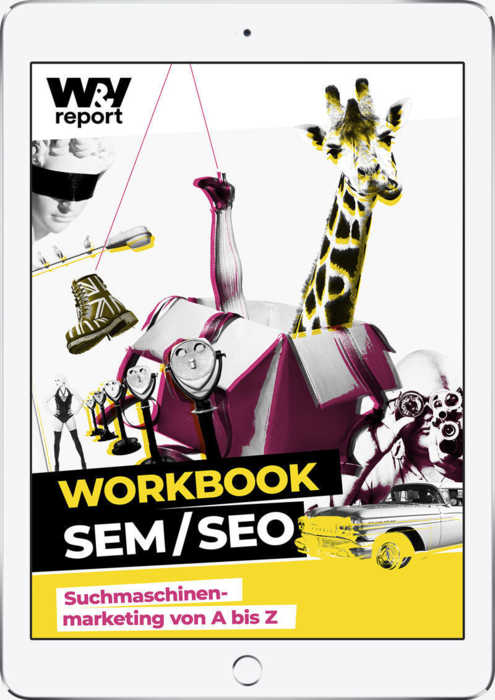 W&V Report Workbook SEM/SEO